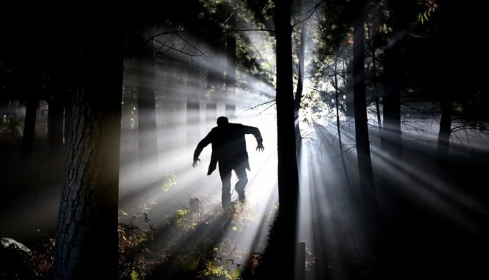 wampir biegnacy przez las
