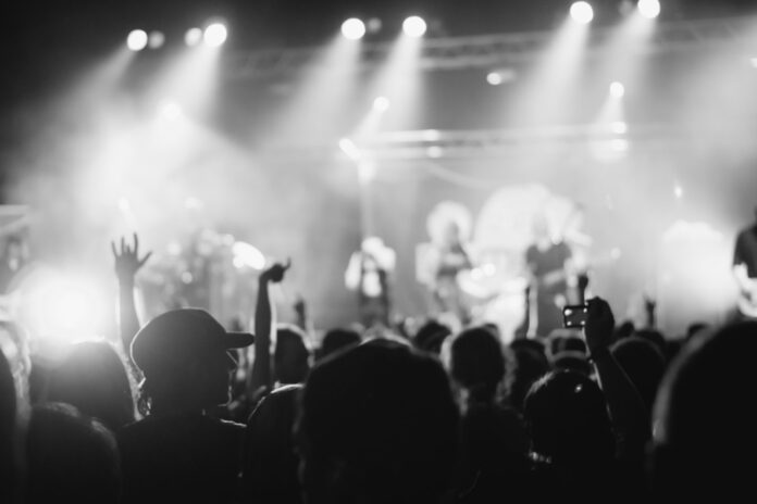 tłum na koncercie